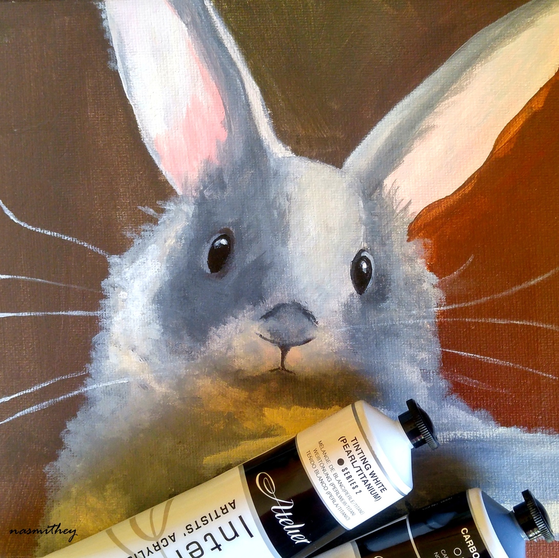 my bunny by paula nasmith